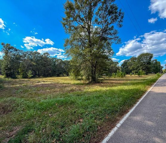 0 Mount Zion Road, New Waverly, TX 77358