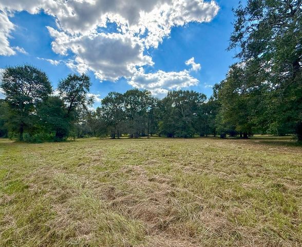0 Mount Zion Road, New Waverly, TX 77358