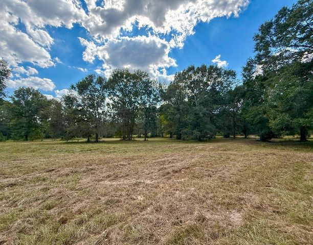 0 Mount Zion Road, New Waverly, TX 77358