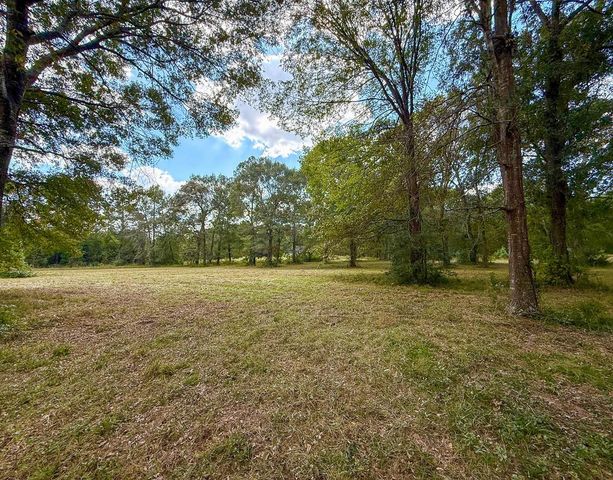 0 Mount Zion Road, New Waverly, TX 77358