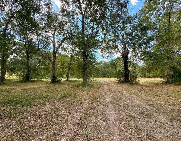 0 Mount Zion Road, New Waverly, TX 77358