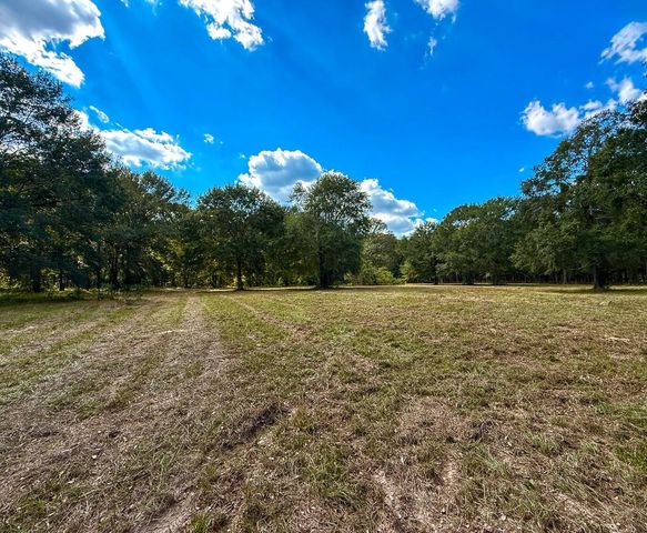 0 Mount Zion Road, New Waverly, TX 77358