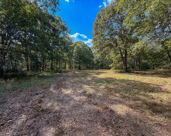 0 Mount Zion Road, New Waverly, TX 77358