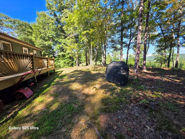 299 Tommys Lane, Murphy, NC 28906