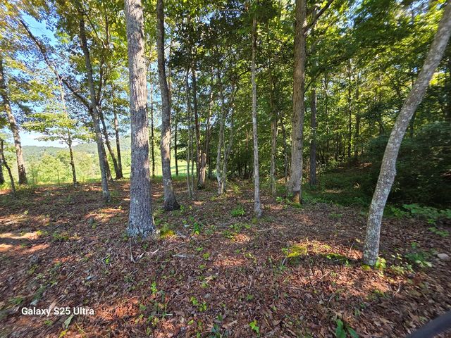 299 Tommys Lane, Murphy, NC 28906