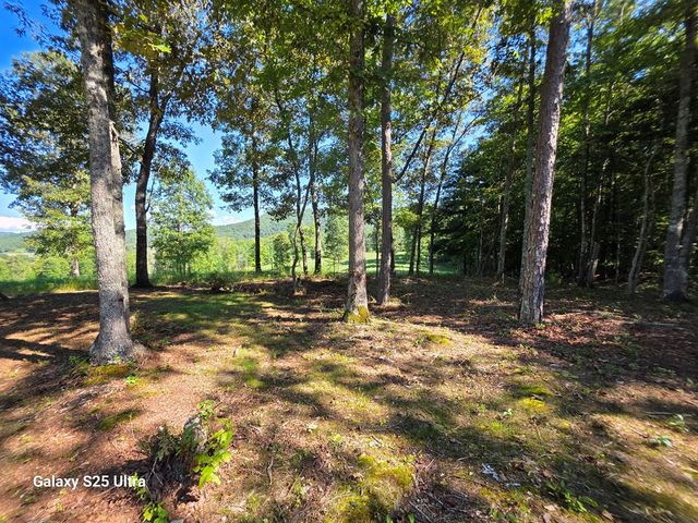 299 Tommys Lane, Murphy, NC 28906