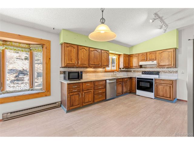 237 Homestead Rd, Bailey, CO 80421