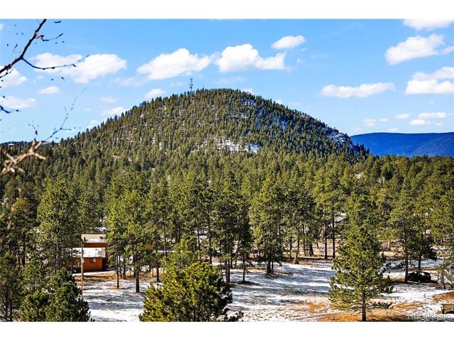 237 Homestead Rd, Bailey, CO 80421