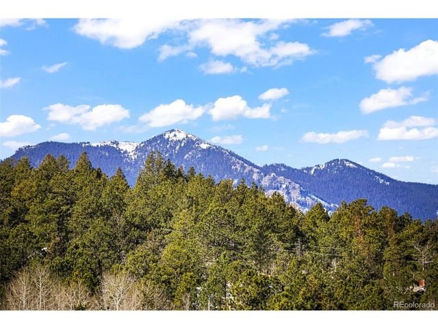 237 Homestead Rd, Bailey, CO 80421