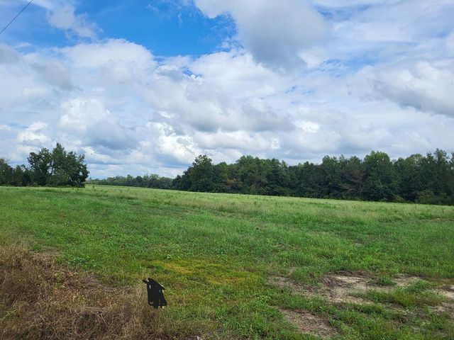 Lot 10 Woodham Rd, Ashford, AL 36312