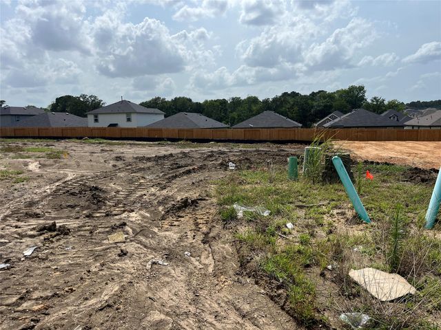 12047 Curlin Drive, Montgomery, TX 77318