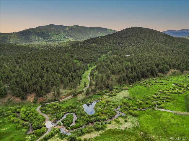 3763 County Road 43, Bailey, CO 80421