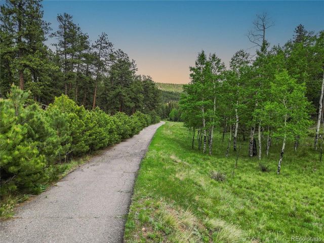 3763 County Road 43, Bailey, CO 80421