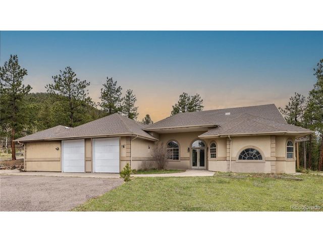 3763 County Road 43, Bailey, CO 80421