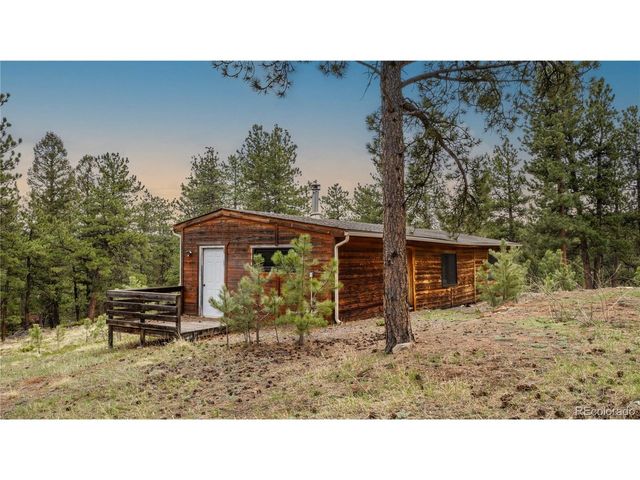 3763 County Road 43, Bailey, CO 80421