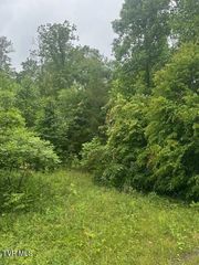 Tbd Laurel Lane, Unicoi, TN 37692