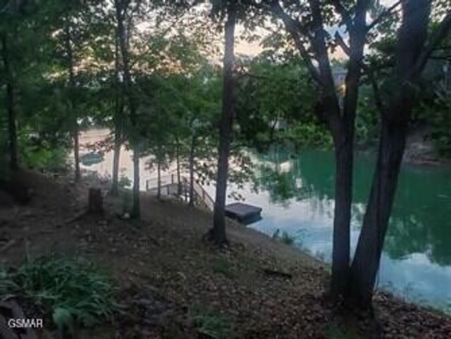 1537 Kinder Lane, Dandridge, TN 37725