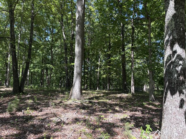 0 Keytown Rd, Portland, TN 37148