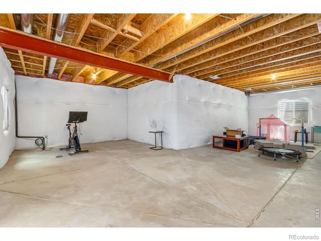 1526 Reynolds Drive, Windsor, CO 80550