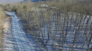 Bear Knob Rd, Crawford, TN 38554