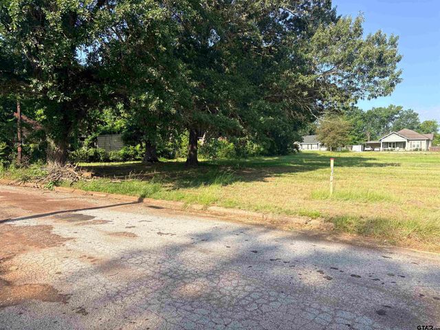 TBD W DUVAL, Troup, TX 75789