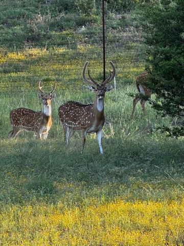 505 John Price ST, Blanco, TX 78606