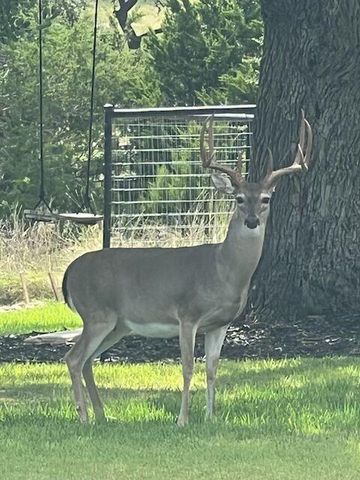 505 John Price ST, Blanco, TX 78606