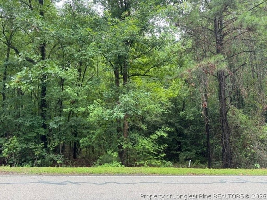 0 Carolina Way, Sanford, NC 27332 — photo 2