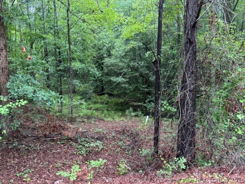 0 Carolina Way, Sanford, NC 27332 — photo 3