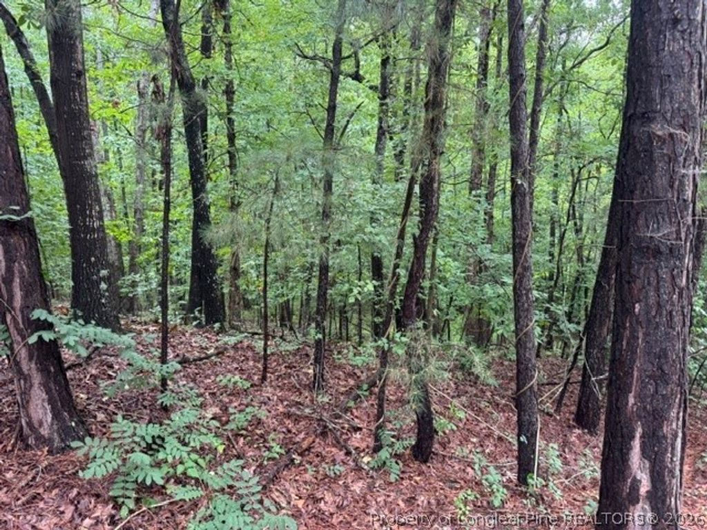 0 Carolina Way, Sanford, NC 27332 — photo 4