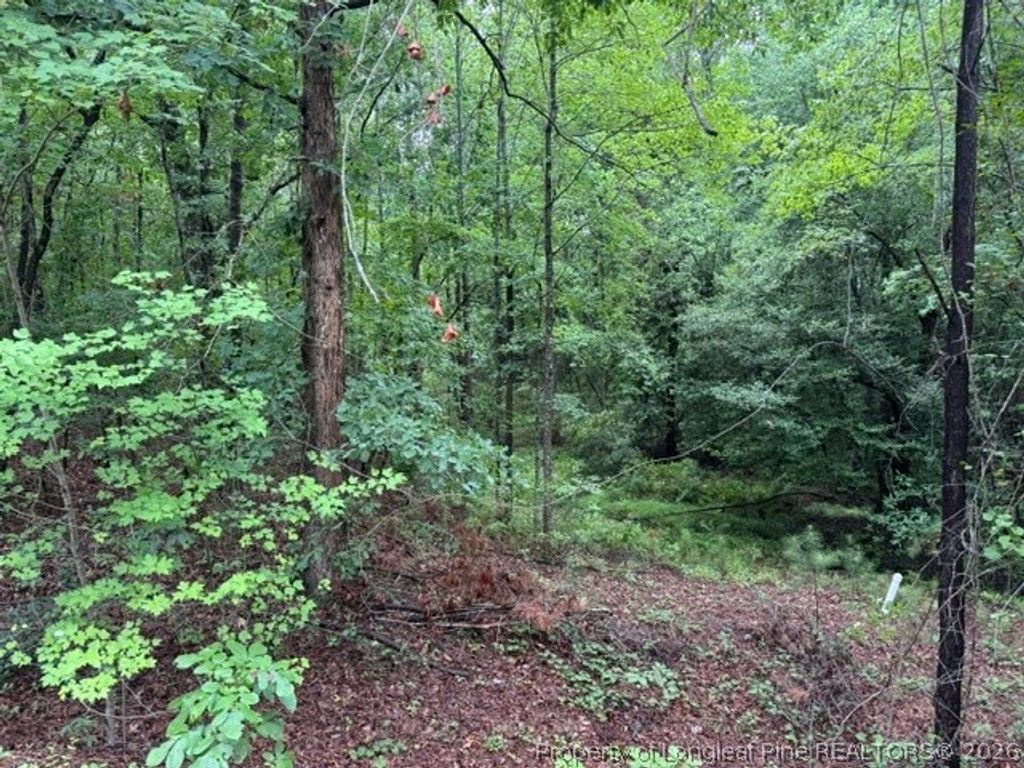 0 Carolina Way, Sanford, NC 27332 — photo 6