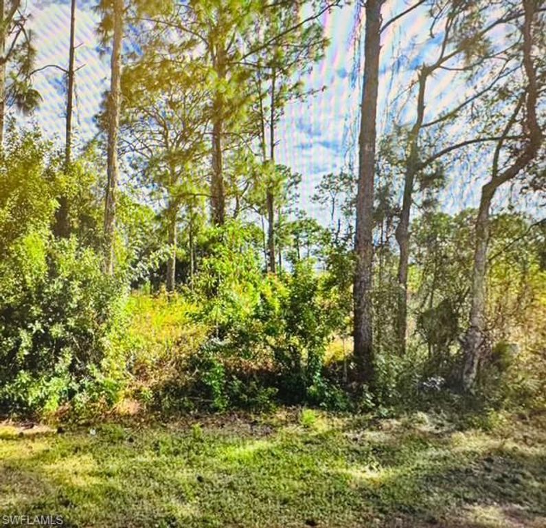334 Mangonia AVE, LEHIGH ACRES, FL 33974 — exterior
