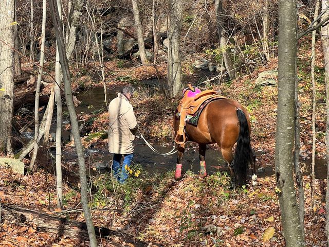 2536 Wingdale Mtn Road, Poughquag, NY 12570