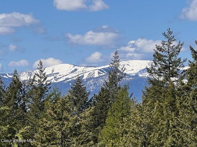 1298 Raven Ridge Rd, Sandpoint, ID 83864