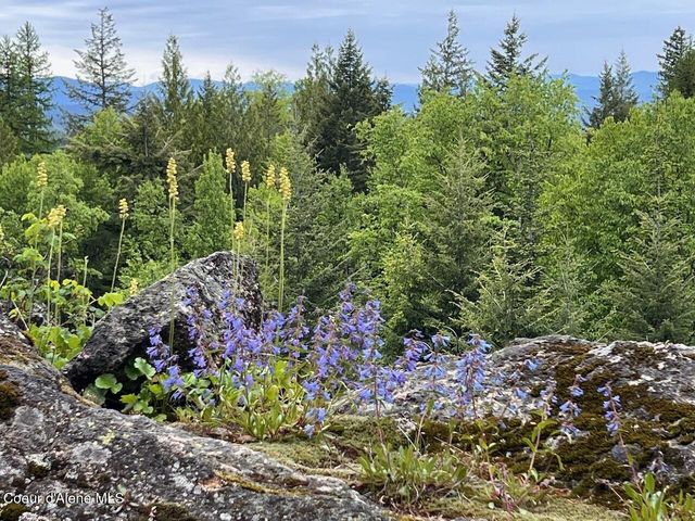 1298 Raven Ridge Rd, Sandpoint, ID 83864