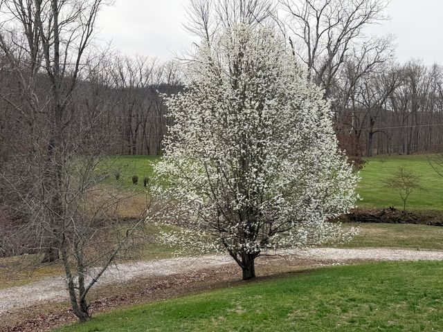 130 Forest Lake Drive, Jeffersonville, KY 40337