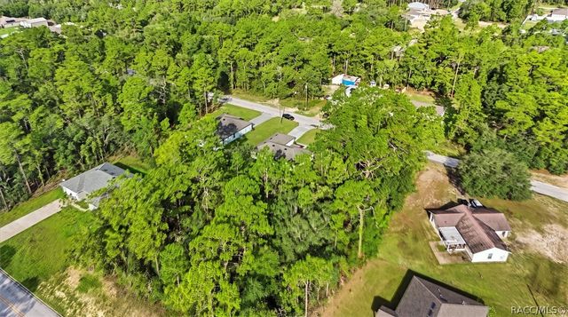 9673 N Emellia Avenue, Dunnellon, FL 34433