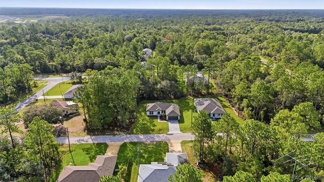 9673 N Emellia Avenue, Dunnellon, FL 34433