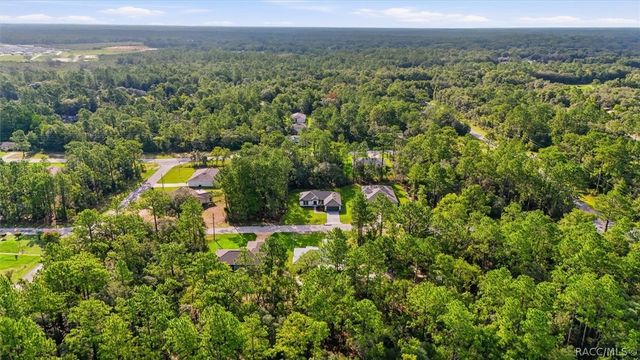 9673 N Emellia Avenue, Dunnellon, FL 34433
