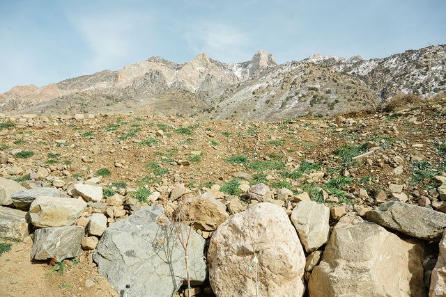 337 E SADDLEBACK RD, Willard, UT 84340