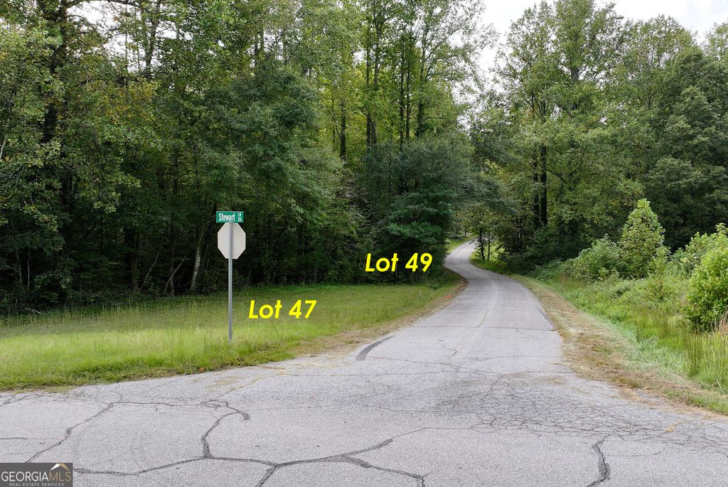 LOT 49 STEWART Drive, Clarkesville, GA 30523 — exterior