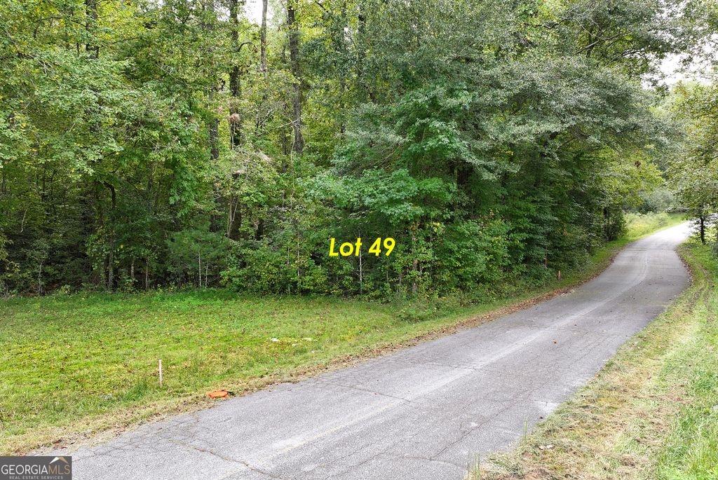 LOT 49 STEWART Drive, Clarkesville, GA 30523 — photo 2