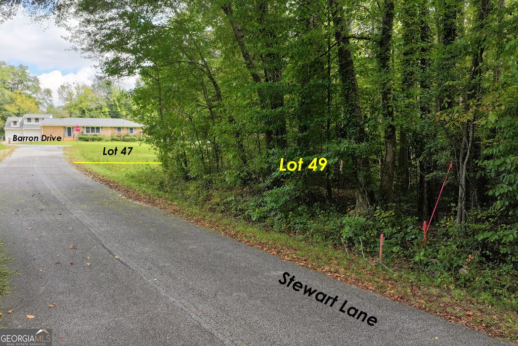 LOT 49 STEWART Drive, Clarkesville, GA 30523 — photo 3