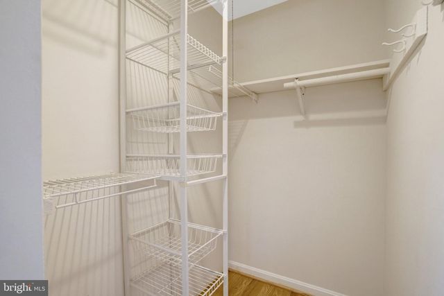 8236 GOVERNORS CT, Alexandria, VA 22308