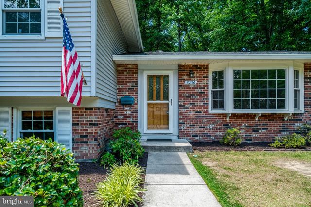 8236 GOVERNORS CT, Alexandria, VA 22308