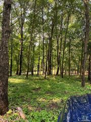 5 Sleaford-Parcel 5 - 2.5 Acres Road, Howell, MI 48843