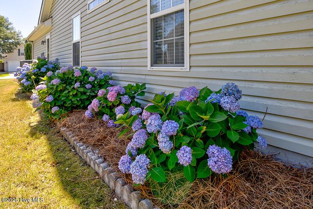 515 Maple Branches Drive, Leland, NC 28451