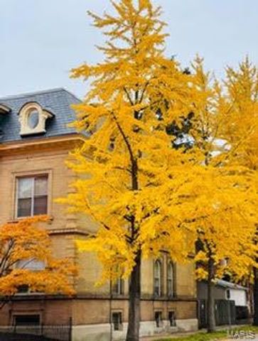 2846 Accomac Street, St Louis, MO 63104