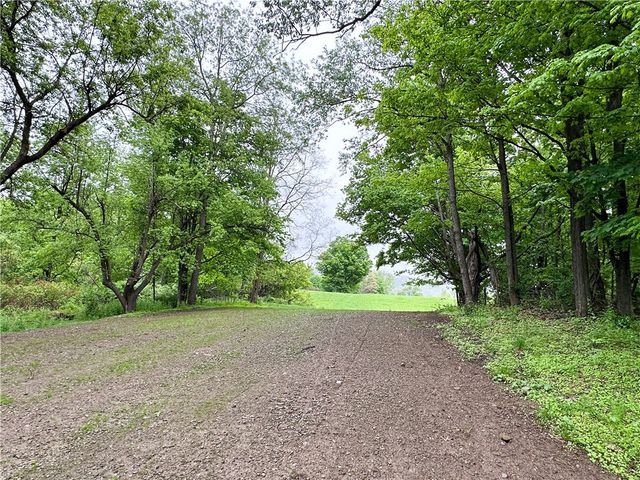 258 Mcmaster Street, Bath, NY 14810