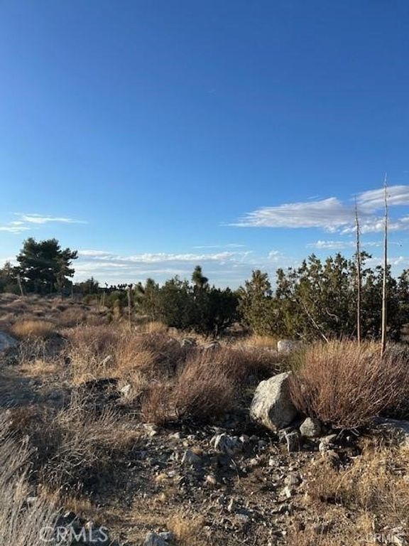 0 Yucca, Pinon Hills, CA 92372